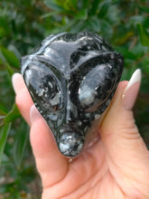 Carving Goniatite Fossil Alien Skull