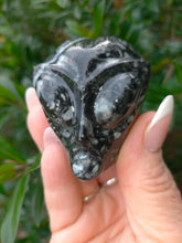 Carving Goniatite Fossil Alien Skull