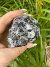 Carving Goniatite Shell Fossil Skull