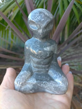 Carving Alien Picasso Jasper 628g