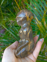 Carving Alien Picture Jasper 662g