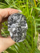 Carving Goniatite Shell Fossil Skull
