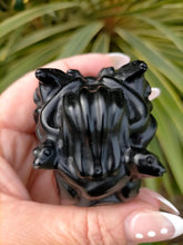Carving Medusa Black Obsidian 6 x 5 cm