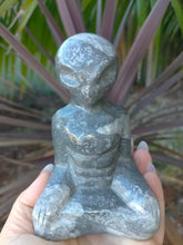 Carving Alien Picasso Jasper 628g