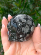 Carving Goniatite Fossil Alien Skull