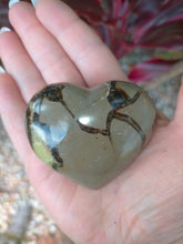 Heart Septarian 137g