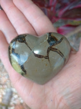 Heart Septarian 137g